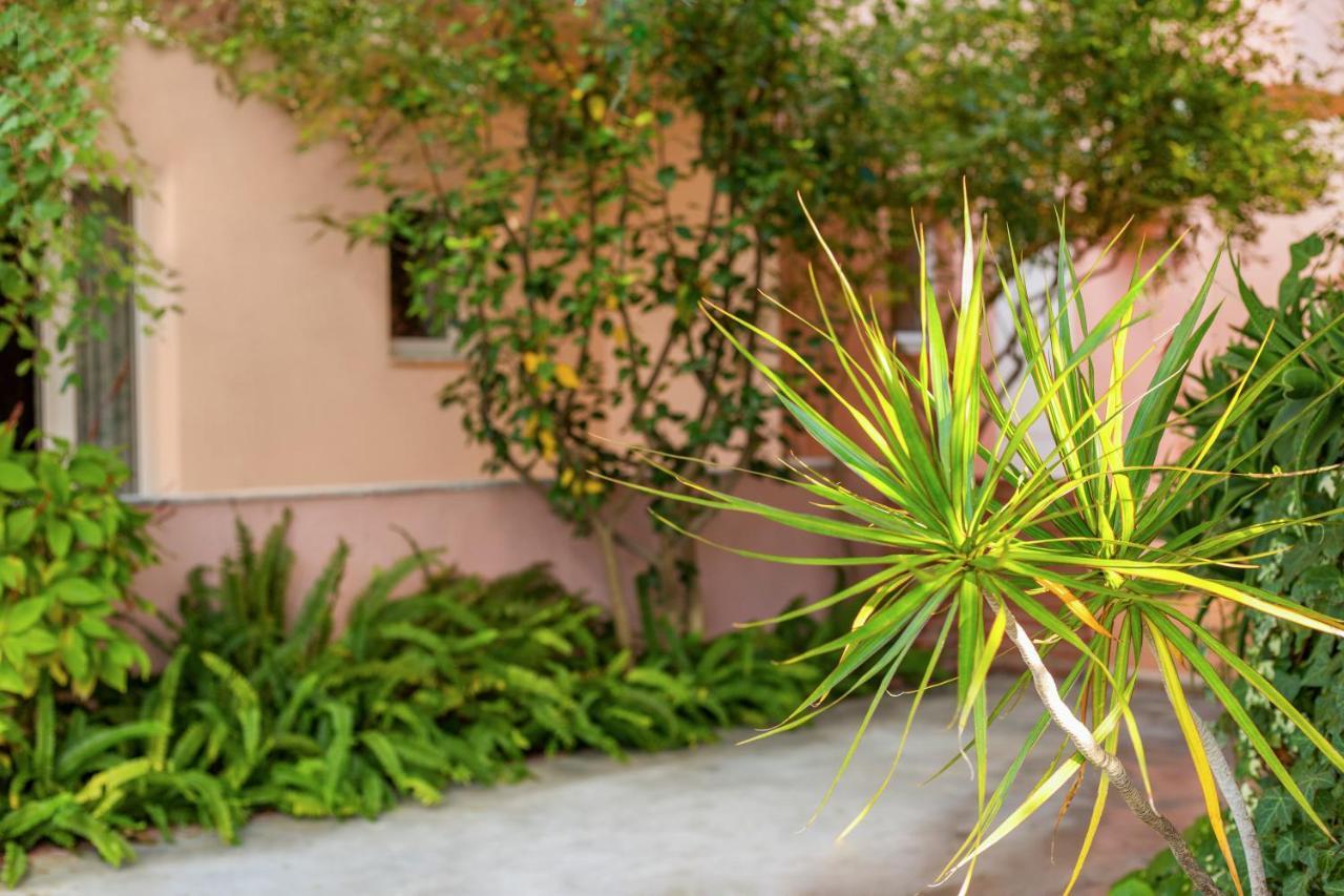 Aphrodite Studios & Apartment Bali  Exterior photo